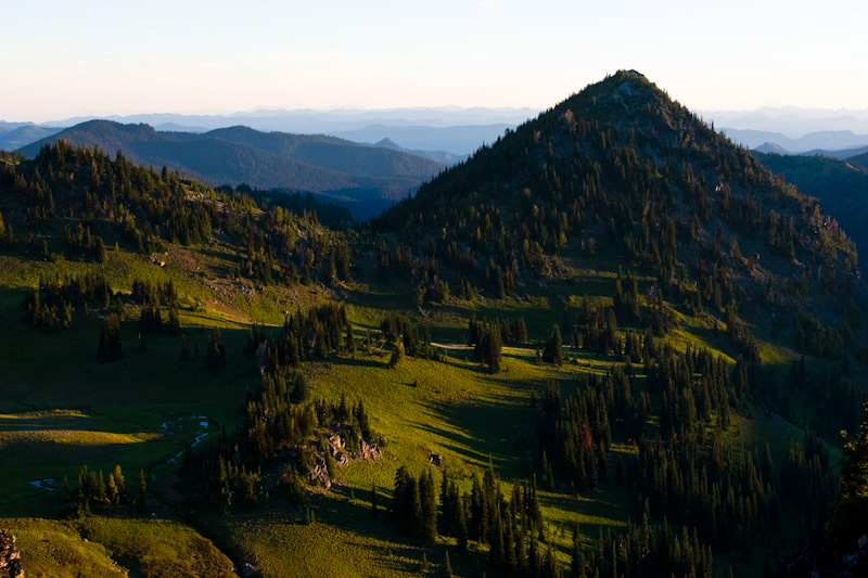 Early Morning Light On Alpine Meadow